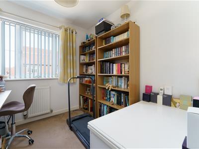 Picture 23
